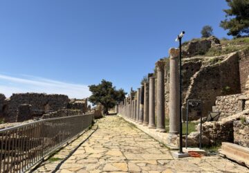 IMG_2805